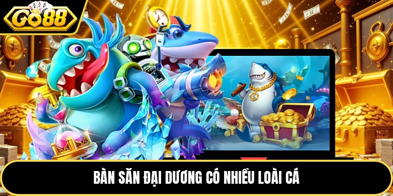 Bàn săn đại dương có nhiều loài cá