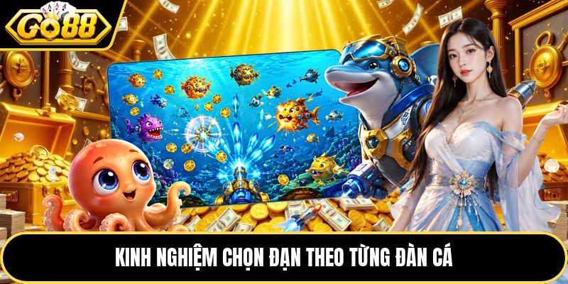 Kinh nghiệm chọn đạn theo từng đàn cá